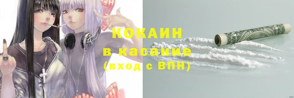 крисы Заводоуковск
