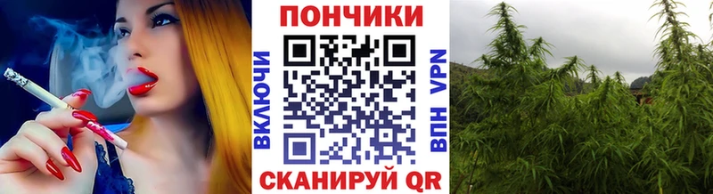 Конопля Amnesia Губкинский